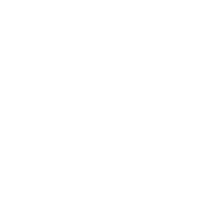 Das große Finale: Der Wahltag 